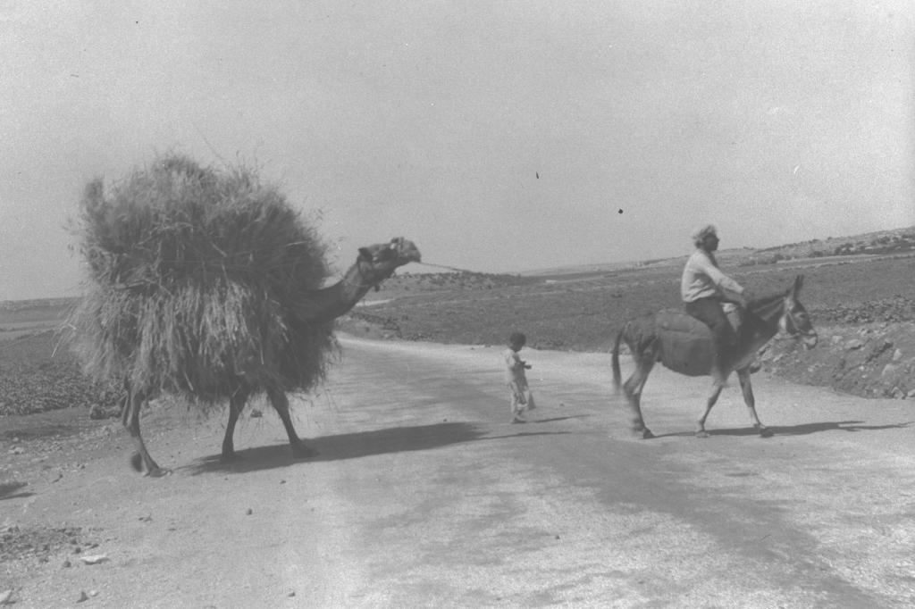 An Arab farmer taking straw to his farm, Zoltan Kluger, 1934