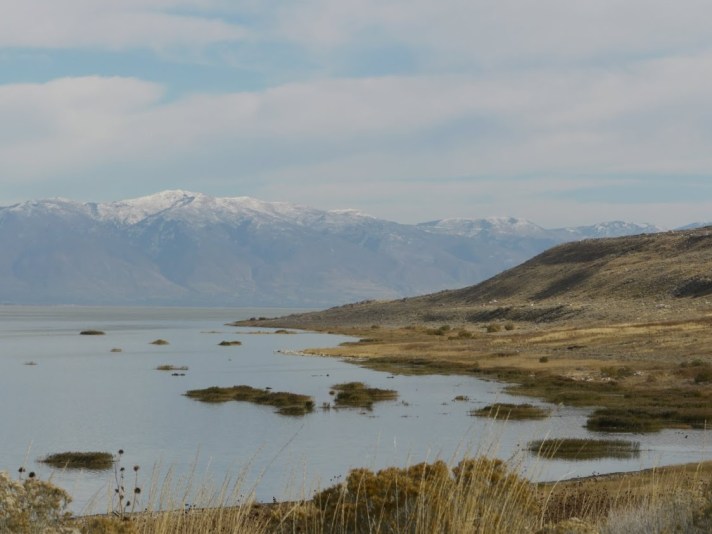 Fresh water upwelling in the Great Salt Lake